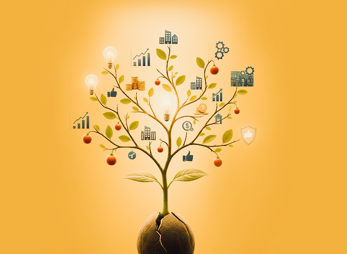 Os tipos de inovação além da tecnológica.